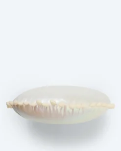 Dekokissen in Perlmutt-Optik